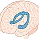 Asian Society Against Dementia (ASAD)